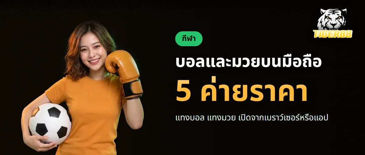 แทงบอลและแทงมวย TIGER88 ราคาจาก 5 ผู้ให้บริการ แทงบอลและแทงมวย TIGER88 ราคาจาก 5 ผู้ให้บริการ
